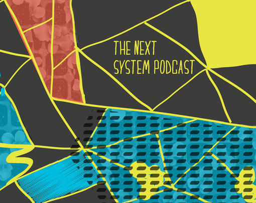 The Next System Podcast