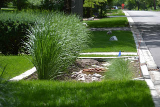 A bioswale provides an attractive way for water to drain into the soil