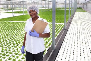 Evergreen Cooperatives worker inside a large greenhouse