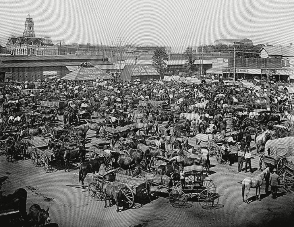 Farmers in Market Square, Cleburne, Texas