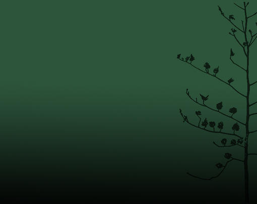 The New Economy: A Living Earth System Model
