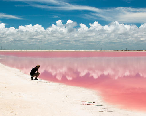A man looking at a pink sea.