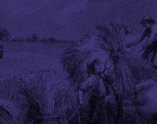 Diversifying Public Ownership