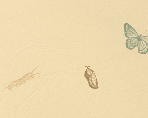 On the left a caterpillar, connected by a dotted line to a chrysalis at the center, then connected again by a dotted line to a butterfly on the right.