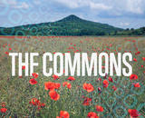 on a field with flowers, the word commons is displayed with a ghostly geometric pattern underneath the image.