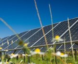 Minnesota community solar garden