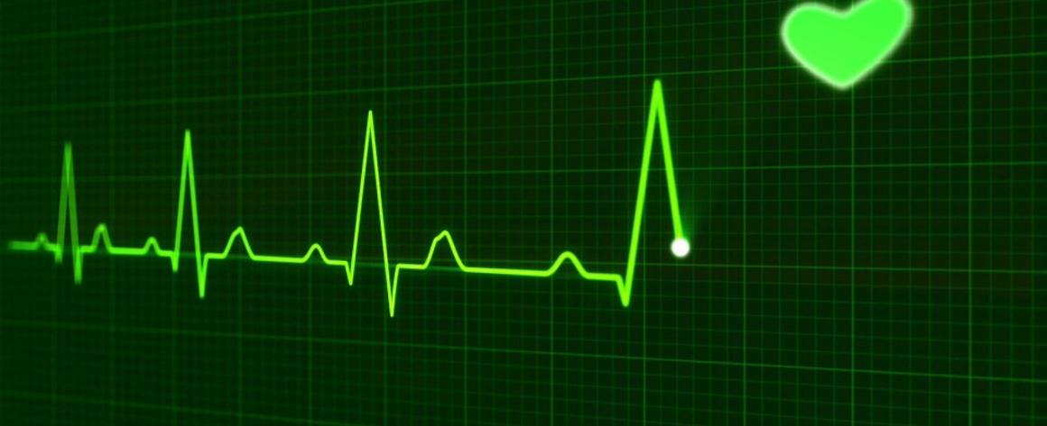 Beyond Obamacare: local models for affordable healthcare