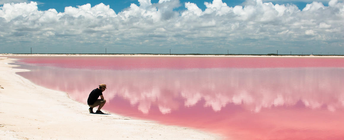 A man looking at a pink sea.