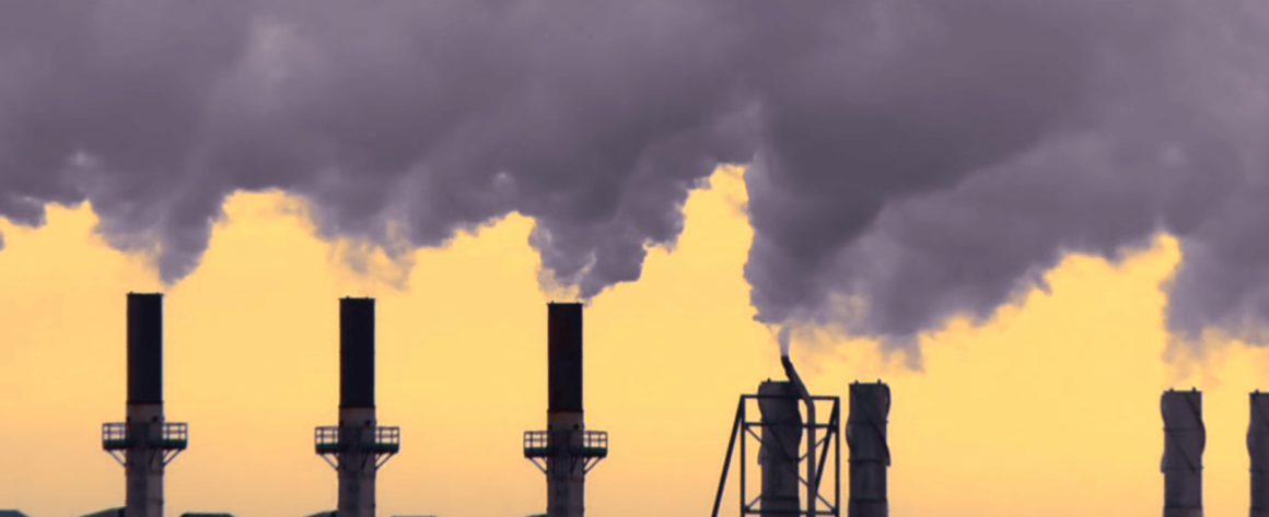 Economist Juliet Schor on Inequality & Climate Crisis