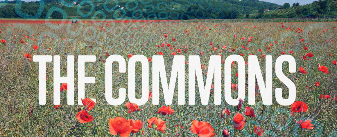 on a field with flowers, the word commons is displayed with a ghostly geometric pattern underneath the image.